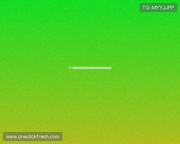 K1体育官方在线直播全面升级赛事体验实时观看最新精彩比赛